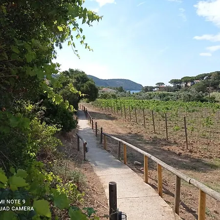 Apartamento La Mi' Elba Lacona